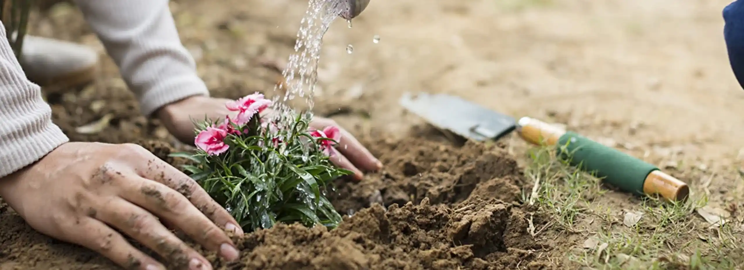 Building <br>commercial<br> spaces