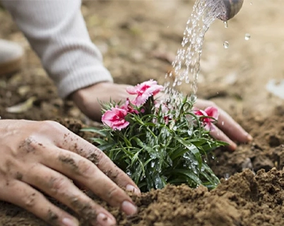 Building commercial spaces